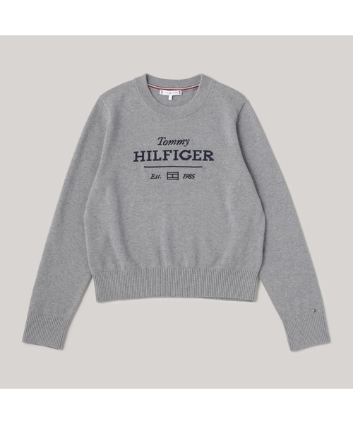 Gaultier Jeans グレー Lサイズ セーター TOMMY JEANS ニット セーター ロゴクルーネックセーター