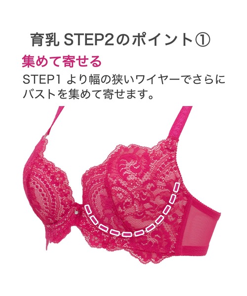 BRADELIS NewYork ブラジャー ベルステップ2ブラ23A1 ブラデリス