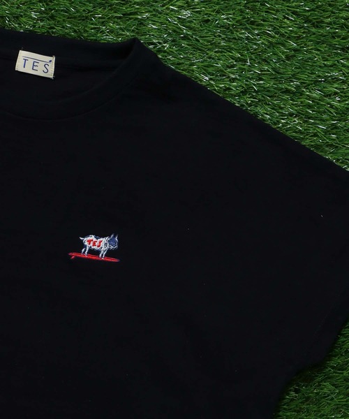 tシャツ TES ORGANIC COTTON HUNTINGTONG LOOSE T-SHIRT / レディースTシャツ レディース The Endless Summer tシャツ TES ORGANIC COTTON HUNTINGTONG