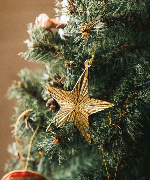 クリスマスオーナメント ゾウ×2アッシュペーフランス購入 クリスマス