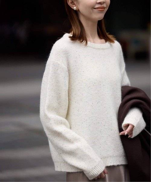 SLOBE IENA（スローブイエナ） ニット セーター 「WEB限定/追加