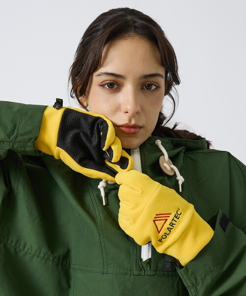 スキンダプサス マハリカ 斑入り 1 スキンダプサス アポラキ マハリカ