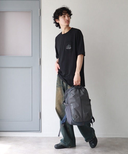 patagonia デイバック リュック 「Patagonia/パタゴニア