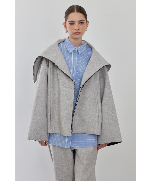 「ALEXIA STAM」 ジップアップブルゾン FREE グレー レディース_画像9