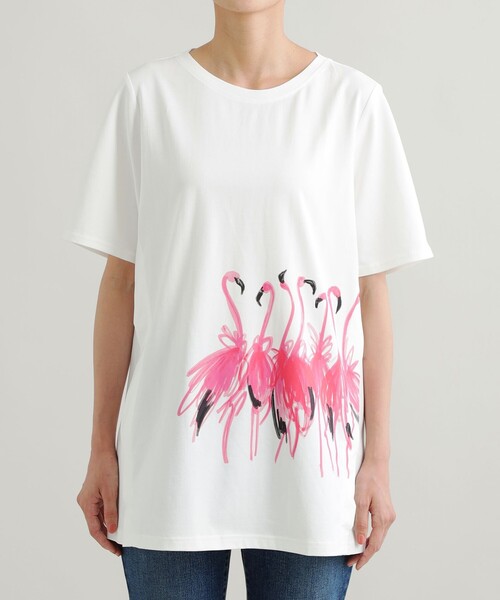 「EVEX by KRIZIA」 半袖Tシャツ 42 ブラック レディース_画像5