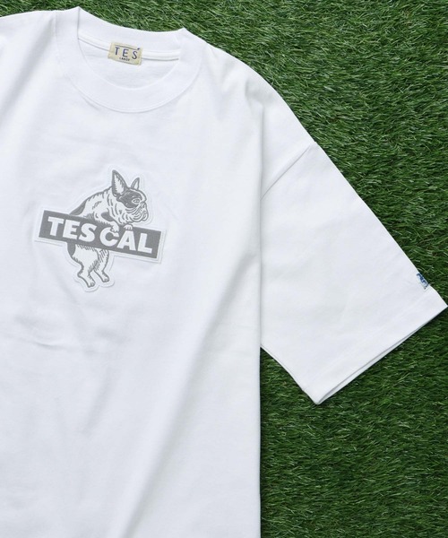 The Endless Summer tシャツ TES CAL FELT WAPPEN BIG T-SHIRT