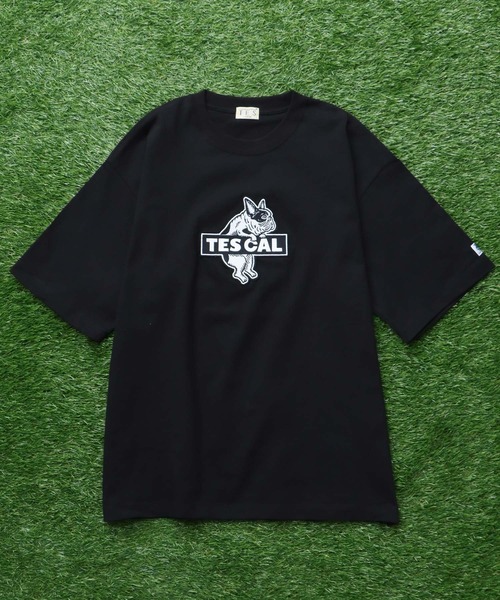 The Endless Summer（エンドレスサマー） tシャツ TES CAL FELT WAPPEN