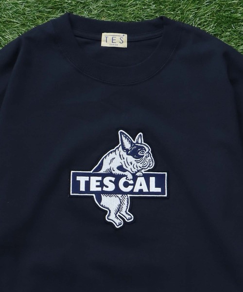 The Endless Summer（エンドレスサマー） tシャツ TES CAL FELT WAPPEN