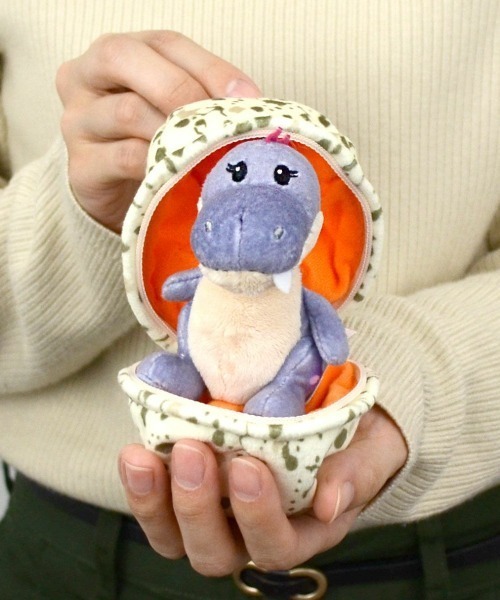 (専用ページ)マグネットキーリング ディノ Amazon.co.jp: [NICI] キーリング ベビー・ディノ+タマゴ ボーイ