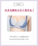ブラジャー 小さく見せる「ミニマイザーブラ」D...の詳細画像1