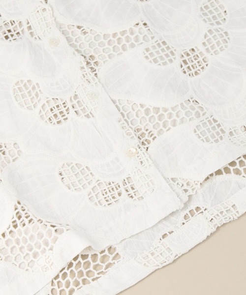 Torrazzo Donna ブラウス シャツ カットワークレースブラウス