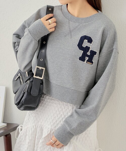 チーコページ^ ^ アガベ チタノタ 追星 COK アガベ チタノタ コック/追星 CG01/COK