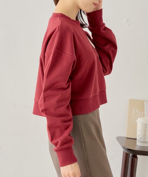 チーコページ^ ^ アガベ チタノタ 追星 COK アガベ チタノタ コック/追星 CG01/COK