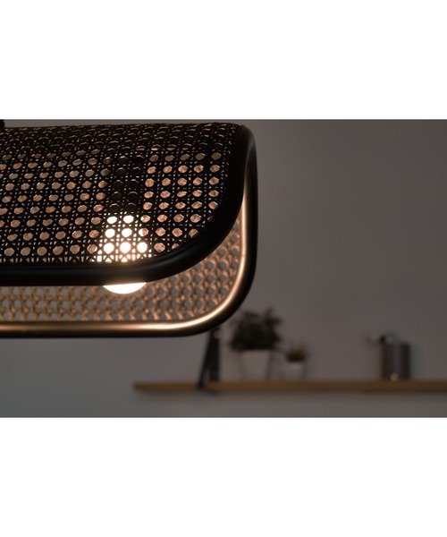 照明 ブリッド ラタン ペンダントランプ 2灯 照明 / BRID RATTAN PENDANT LAMP「2BULB」_5