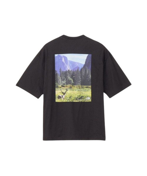 早い者勝ち!!! THE NORTH FACE ◆ S/S ヨセミテフォールズティー THE NORTH FACE〉S/S Yosemite Falls Tee(NT82540 ) | PUMP