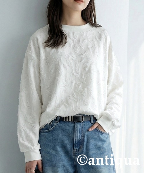 antiqua（アンティカ） antiqua tシャツ ダメージ風 トップス