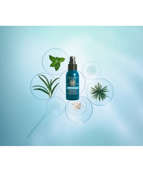 ロクシタン　シャンプー　トリートメント　ドライシャンプー　ポーチ付き ロクシタン シャンプー トリートメント ドライシャンプー ポーチ付き