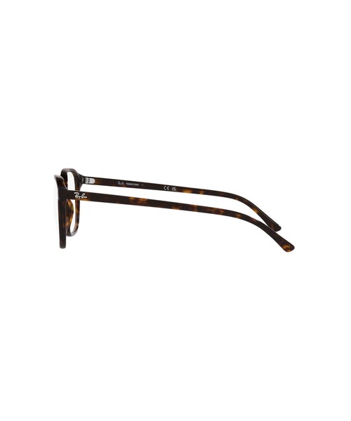 Ray-Ban（レイバン） サングラス サングラス LEONARD TRANSITIONS