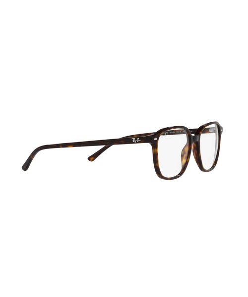 Ray-Ban サングラス レイバン LEONARD TRANSITIONS (クリア調光