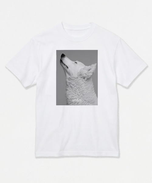 「MAMIAN」 「United Athle」半袖Tシャツ L ホワイト レディース_画像9