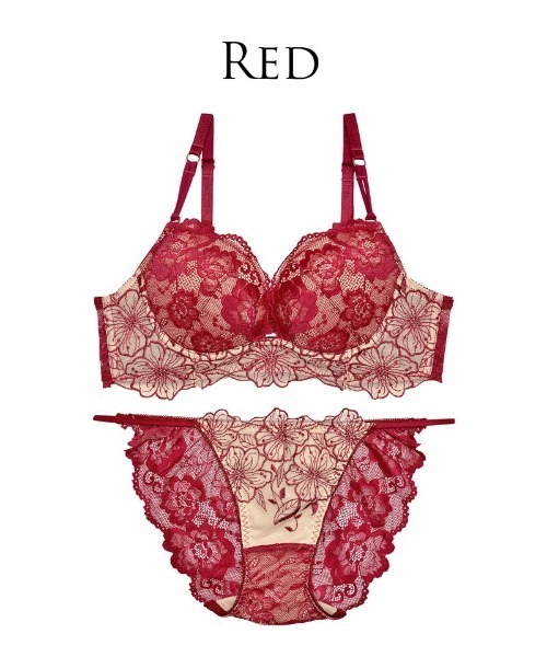 Reinest ブラジャー ショーツセット 「シリーズ累計5.5万枚突破