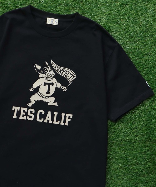 The Endless Summer（エンドレスサマー） tシャツ TES COLLEGE FLOCKY