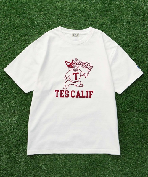 The Endless Summer（エンドレスサマー） tシャツ TES COLLEGE FLOCKY