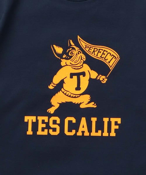 The Endless Summer（エンドレスサマー） tシャツ TES COLLEGE FLOCKY