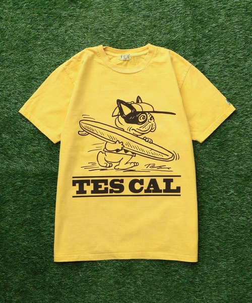 The Endless Summer（エンドレスサマー） tシャツ TES VINTAGE GRAPHIC
