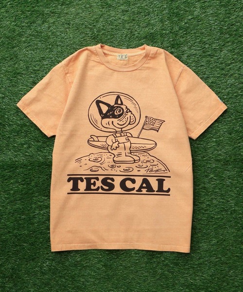 The endless summer グラフィック The Endless Summer（エンドレスサマー） tシャツ TES VINTAGE GRAPHIC