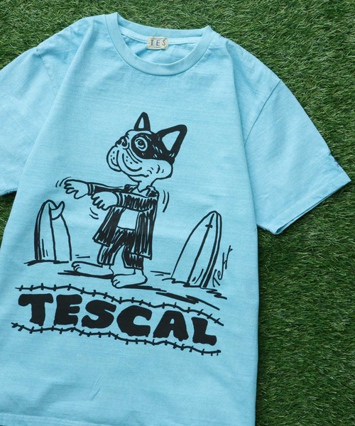 The Endless Summer（エンドレスサマー） tシャツ TES VINTAGE GRAPHIC