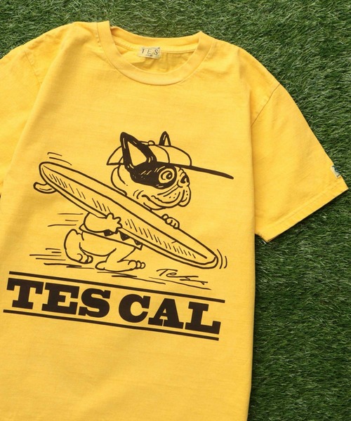 The Endless Summer（エンドレスサマー） tシャツ TES VINTAGE GRAPHIC