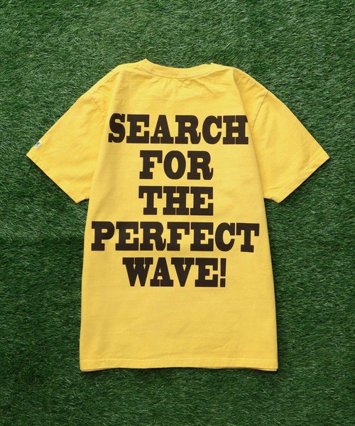 The Endless Summer（エンドレスサマー） tシャツ TES VINTAGE GRAPHIC