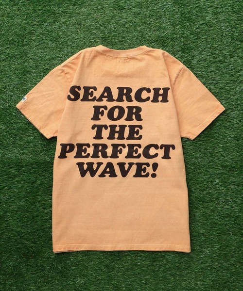 The Endless Summer（エンドレスサマー） tシャツ TES VINTAGE GRAPHIC