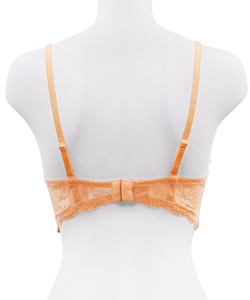 ANNEBRA（アンブラ） ブラジャー Luxe バックデザイン2WAYロングライン