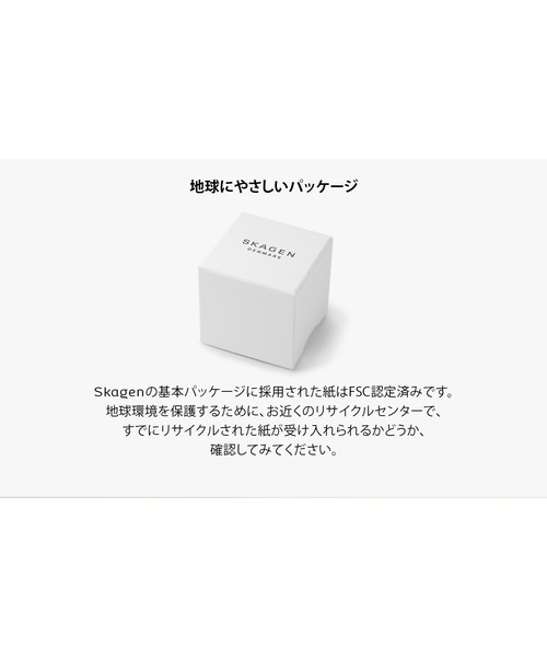 腕時計 スカーゲン 腕時計 レディース アナログ ステンレス SKW3179 レディースの画像