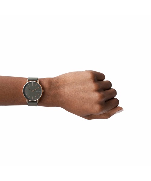 スカーゲン SKAGEN SKW2674 ハルド レディース 腕時計 SKAGEN（スカーゲン） レディース ハルド グレー文字盤 シルバー