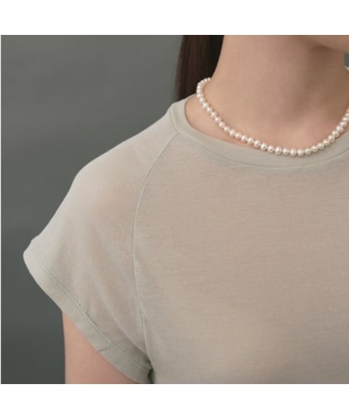 IRIS47 tシャツ 「IRIS 47」sheer capsleeve tops シアー
