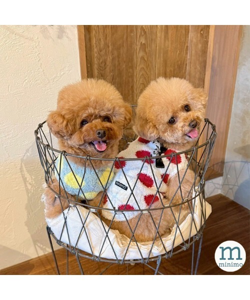 minimo 犬服（その他ペット用品、生き物） | ペット用品、生き物 の