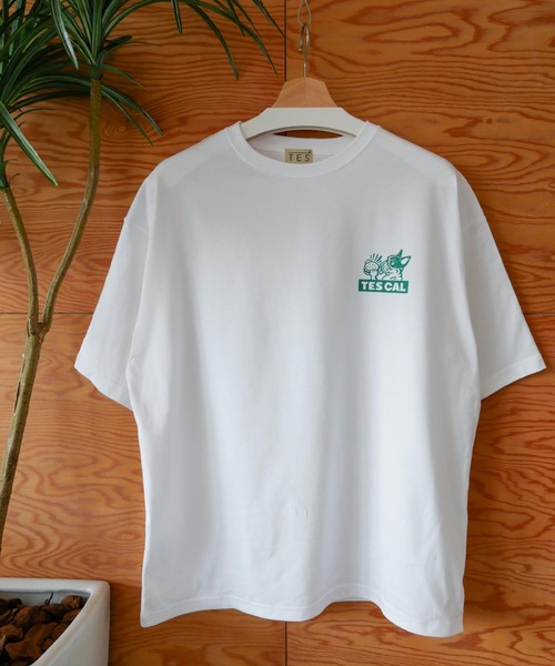 「The Endless Summer」 「tes」半袖Tシャツ LARGE レッド メンズ_画像4