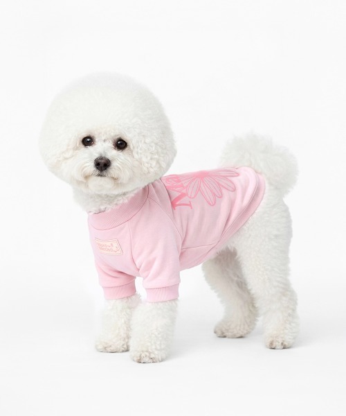 Mardi Mercredi（マルディメクルディ） 犬 服 PET TSHIRT FLOWERMARDI