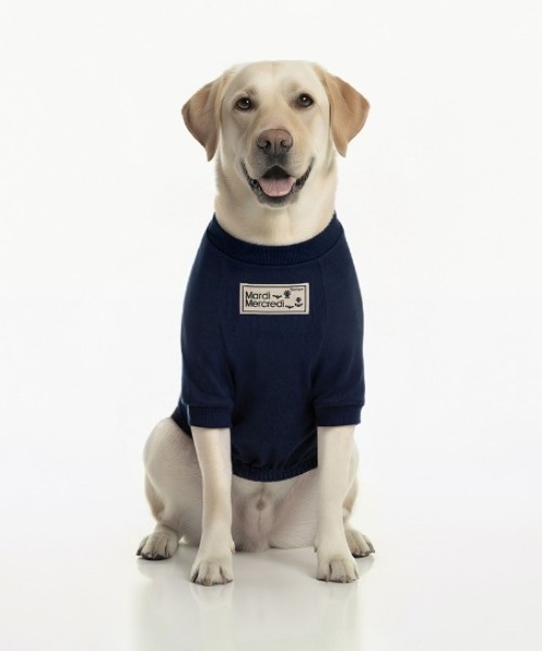 Mardi Mercredi（マルディメクルディ） 犬 服 PET TSHIRT FLOWERMARDI