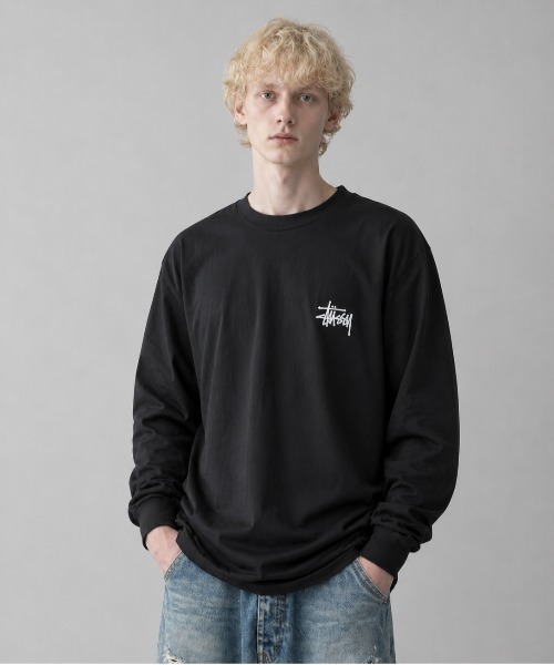 ステューシー ロンt（サイズ（S/M/L）：LL（XL））のおすすめ人気商品