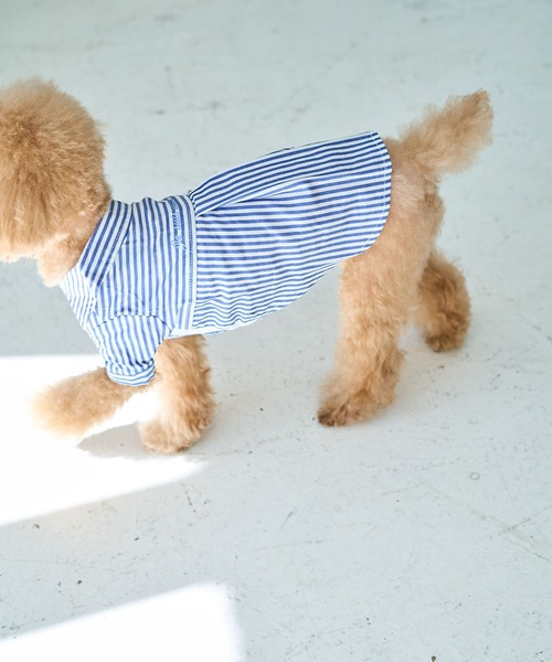 犬服・スカーフセット 水色 ストライプ ROPE' PICNIC（ロペ ピクニック） 犬 服 「DOG」刺繍ロゴ入り