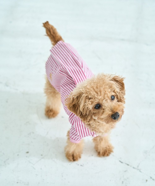 ROPE' PICNIC（ロペ ピクニック） 犬 服 「DOG」刺繍ロゴ入り