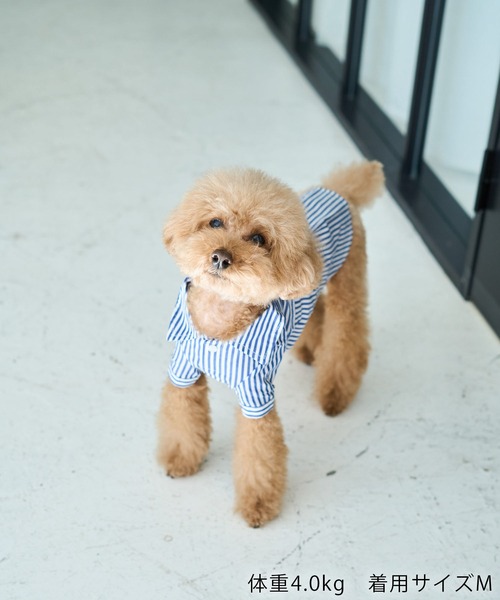 ROPE' PICNIC（ロペ ピクニック） 犬 服 「DOG」刺繍ロゴ入り
