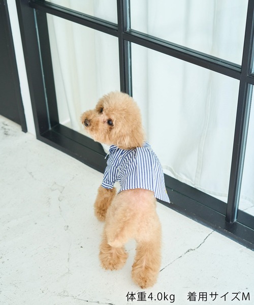 ROPE' PICNIC（ロペ ピクニック） 犬 服 「DOG」刺繍ロゴ入り