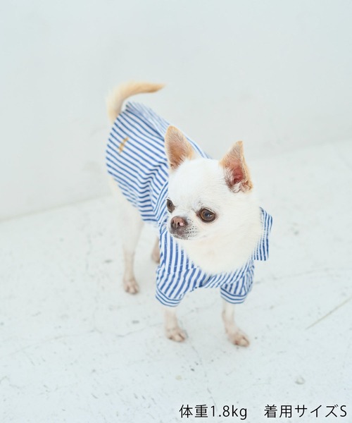 ROPE' PICNIC（ロペ ピクニック） 犬 服 「DOG」刺繍ロゴ入り