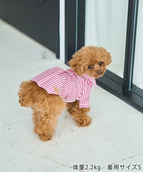 ROPE' PICNIC（ロペ ピクニック） 犬 服 「DOG」刺繍ロゴ入り