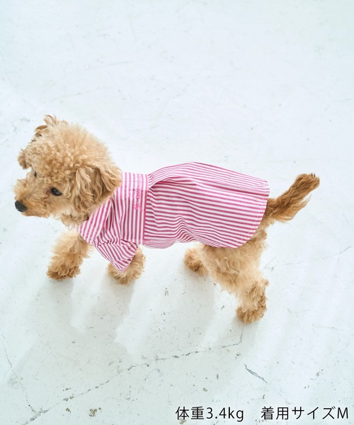 ROPE' PICNIC（ロペ ピクニック） 犬 服 「DOG」刺繍ロゴ入り